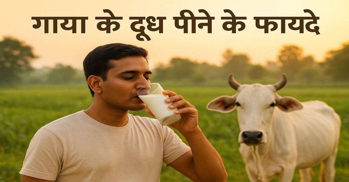 गाय के दूध के फायदे